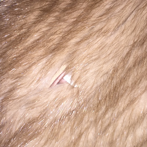 100% authentic light color mink coat unisex - Picture 5 of 9